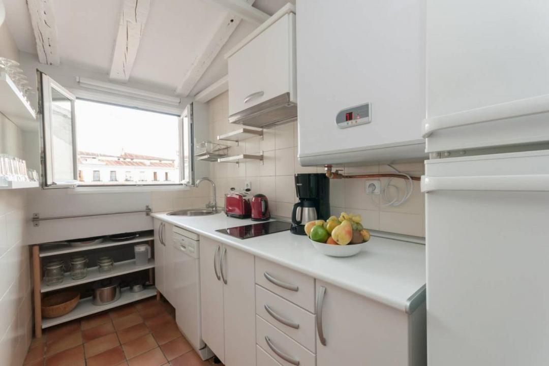 Cozy One-Bedroom Penthhouse La Latina Madrid Ngoại thất bức ảnh